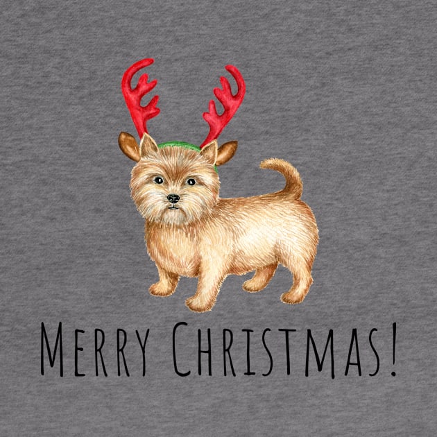 Cute Norwich terrier , Christmas dog by Simple Wishes Art